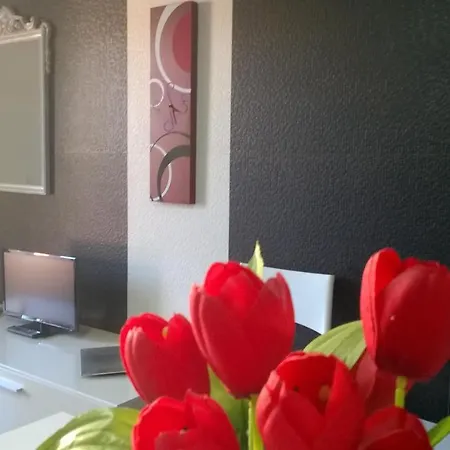 Lilium Prázdninový dům