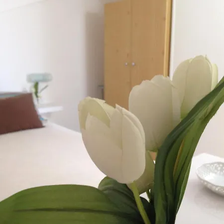 Lilium Prázdninový dům