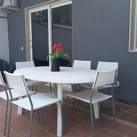 Lilium Villaggio Azzurro