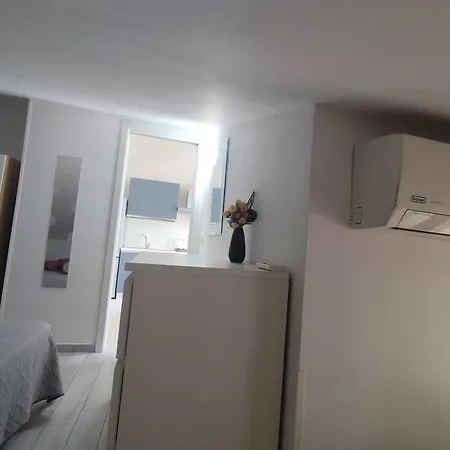 Lilium * Villaggio Azzurro