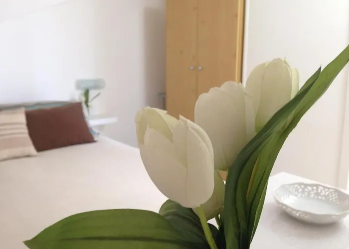 Lilium בית נופש