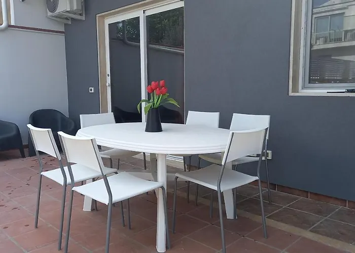 Lilium Villaggio Azzurro